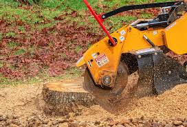 Tree and Shrub Care in Soda Springs, ID